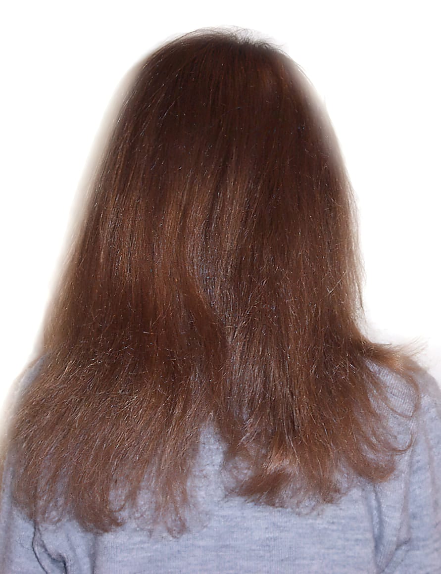 Before Picture - Extra Long Brown and Wavy