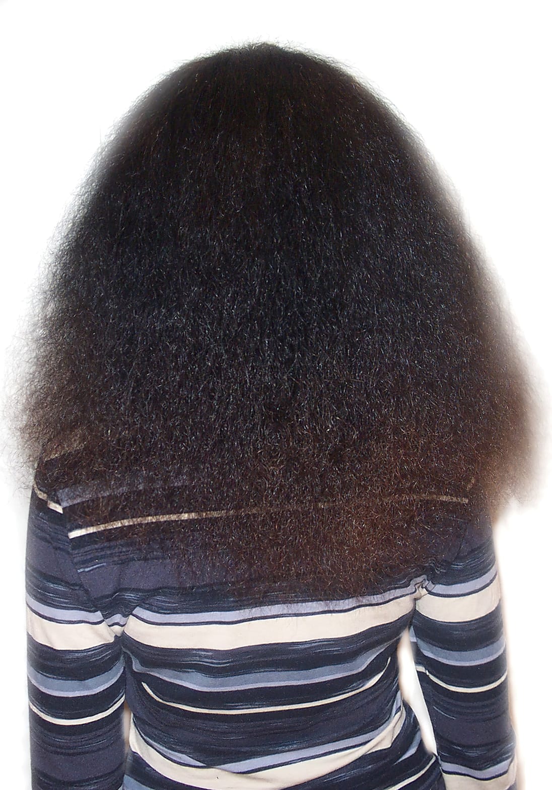 Before Picture - Taming the Untameable
