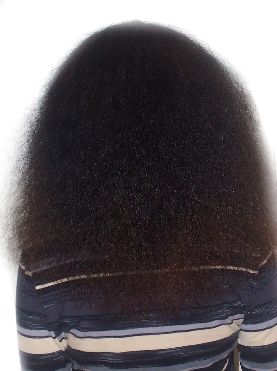 Before Picture - Taming the Untameable