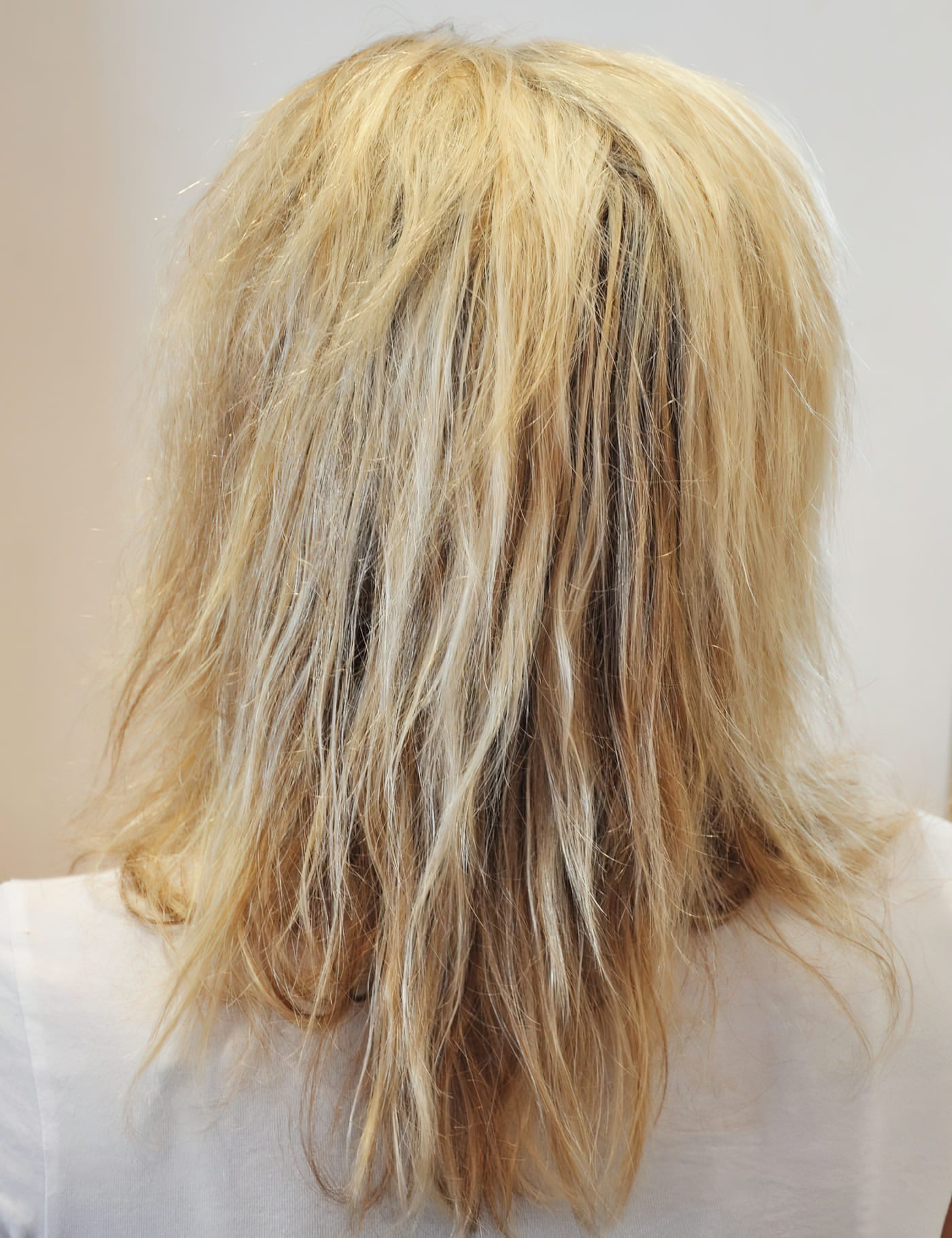 Before Picture - Bleached & Broken to Blonde & Bridal