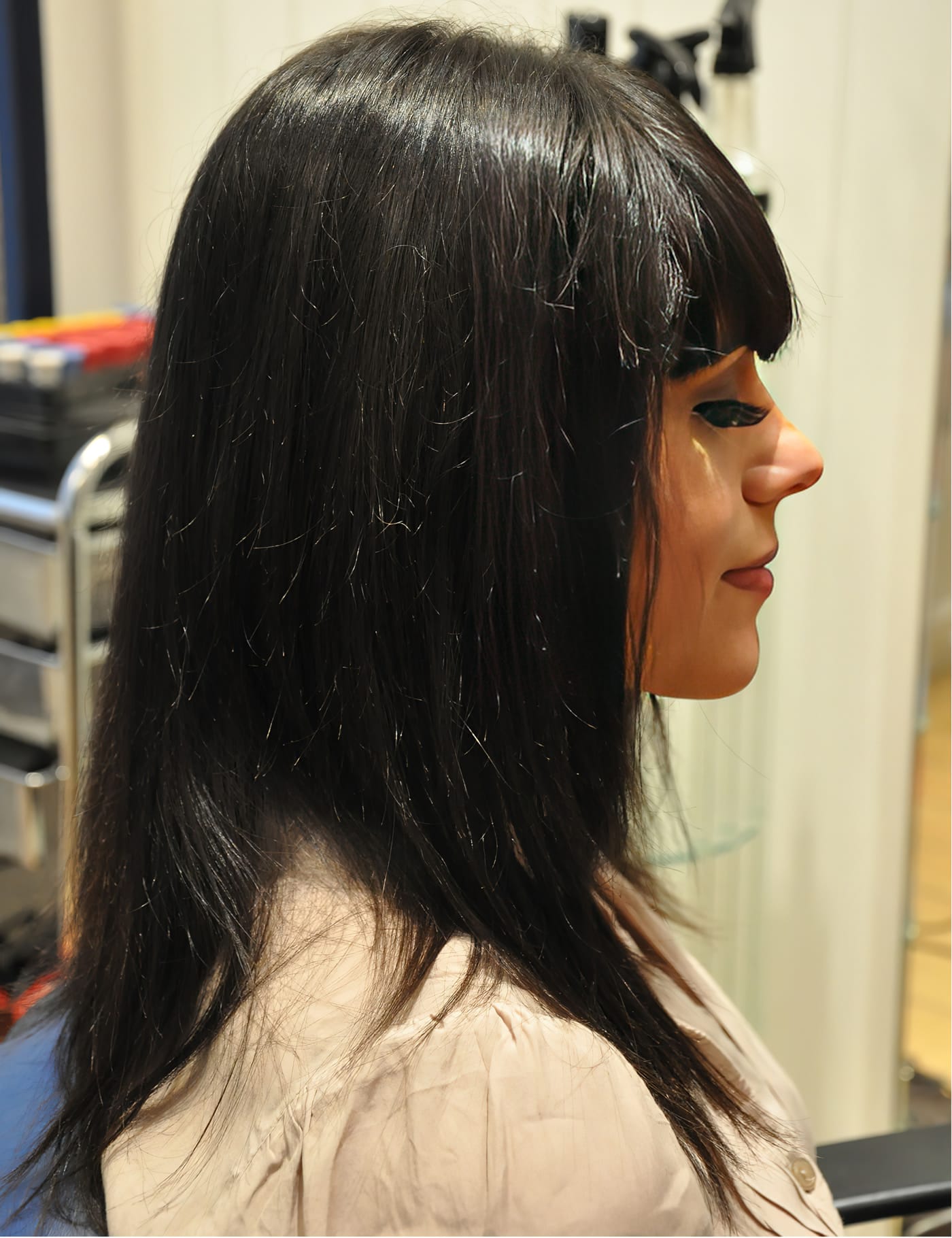Before Picture - Dark and Dreamy Hair Extensions