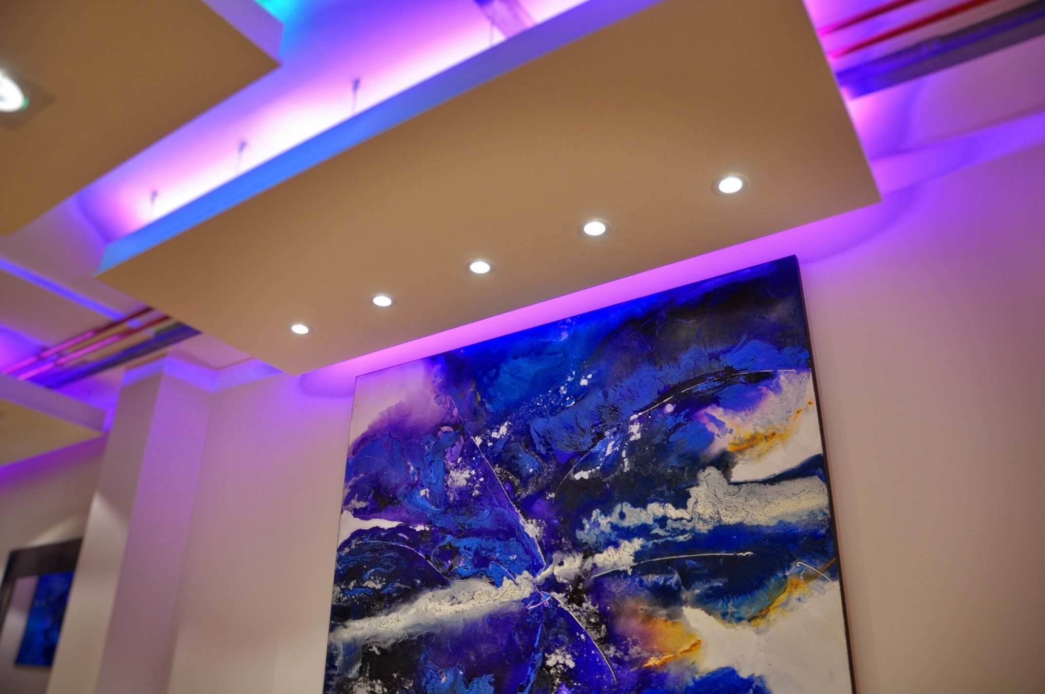 Custom-designed, adjustable illumination with over 300 low voltage light fittings