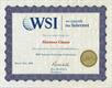 WSI Internet Marketing Certification 2010
