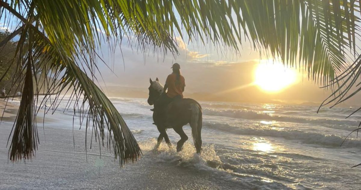 femme qui se tient à côté d'un cheval sur une plage