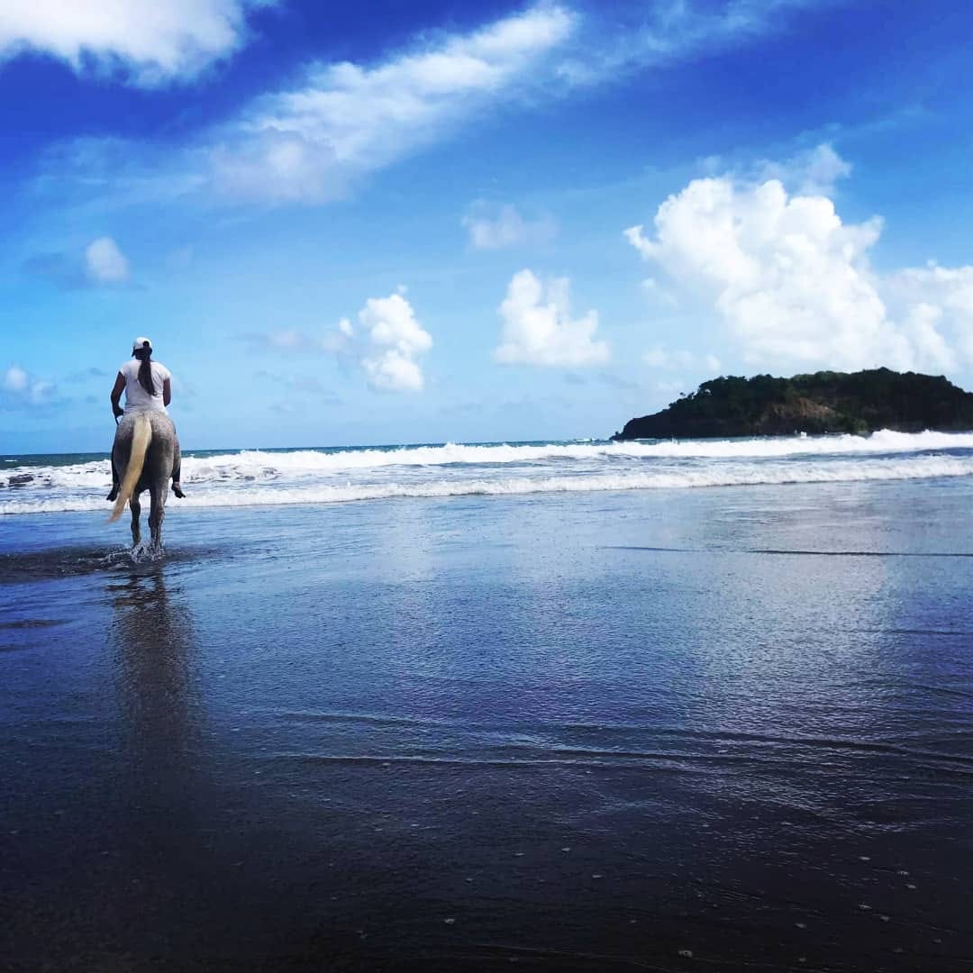 Activités équestres en Martinique - Co-Équi-Pieds