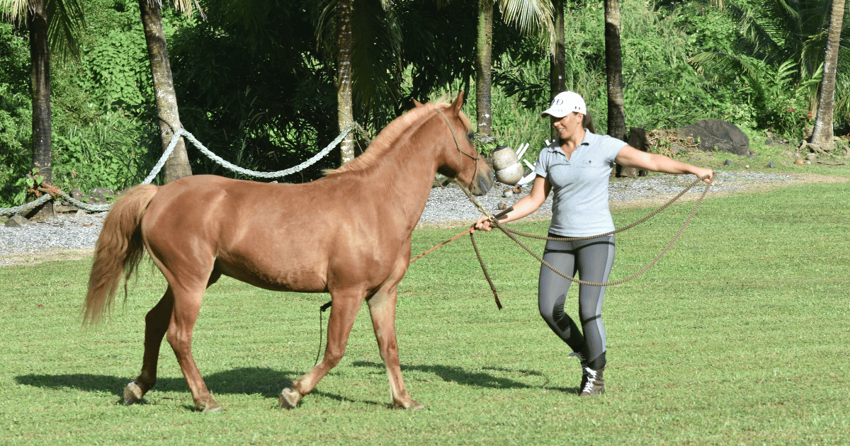 femme qui se tient à côté d'un cheval sur une plage