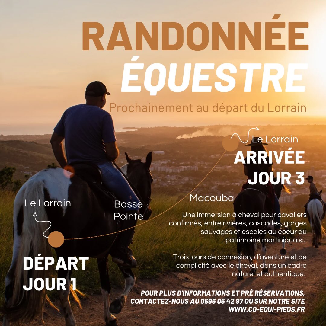 Première randonnée équestre de 3 jours en Martinique : immersion sauvage à Basse-Pointe