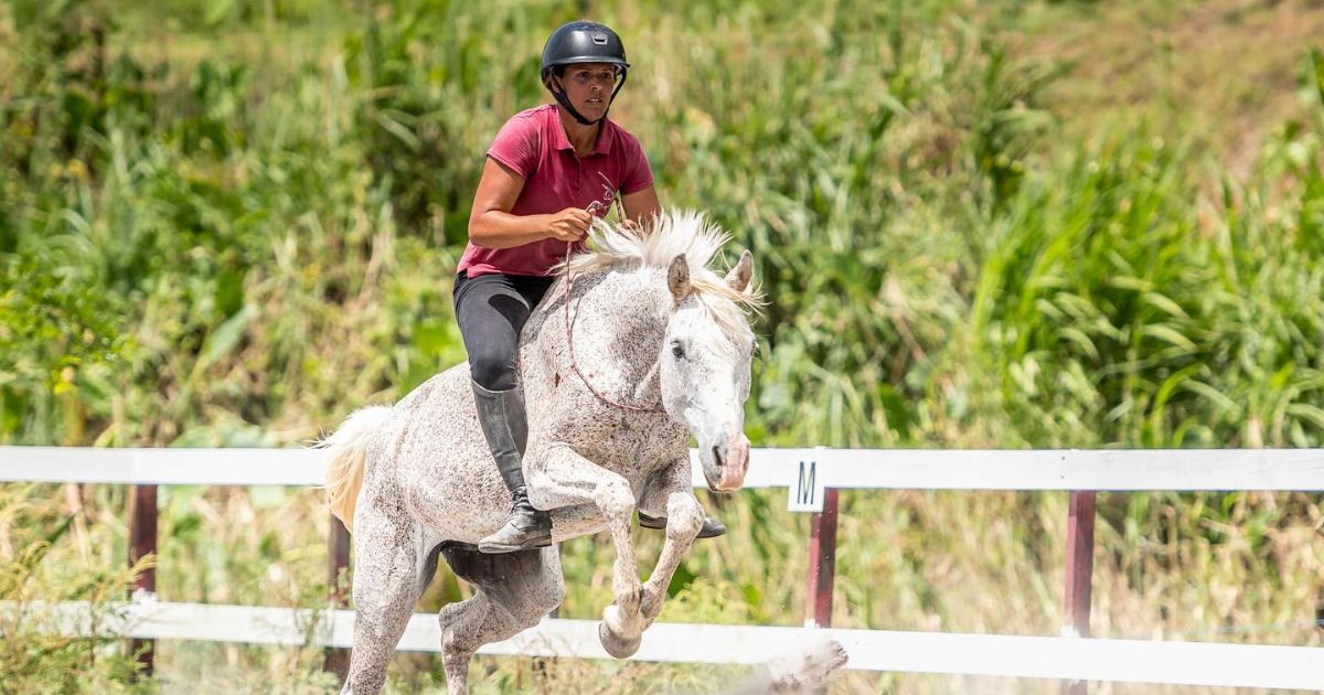 Étape 2 du Championnat d’Equifeel de Martinique, le 7 décembre au Centre Équestre Hippocampe