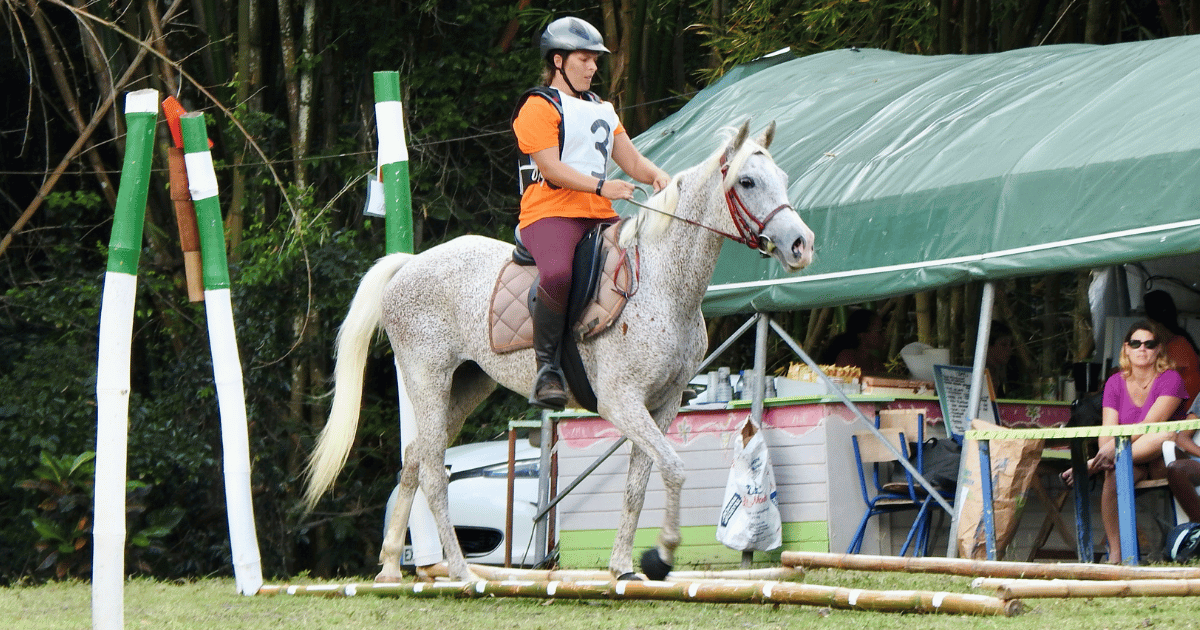 femme sur cheval blanc