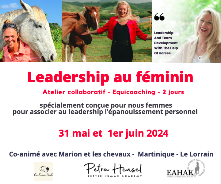 Découvrez comment UNE SIMPLE RENCONTRE avec un cheval peut révolutionner votre parcours professionnel