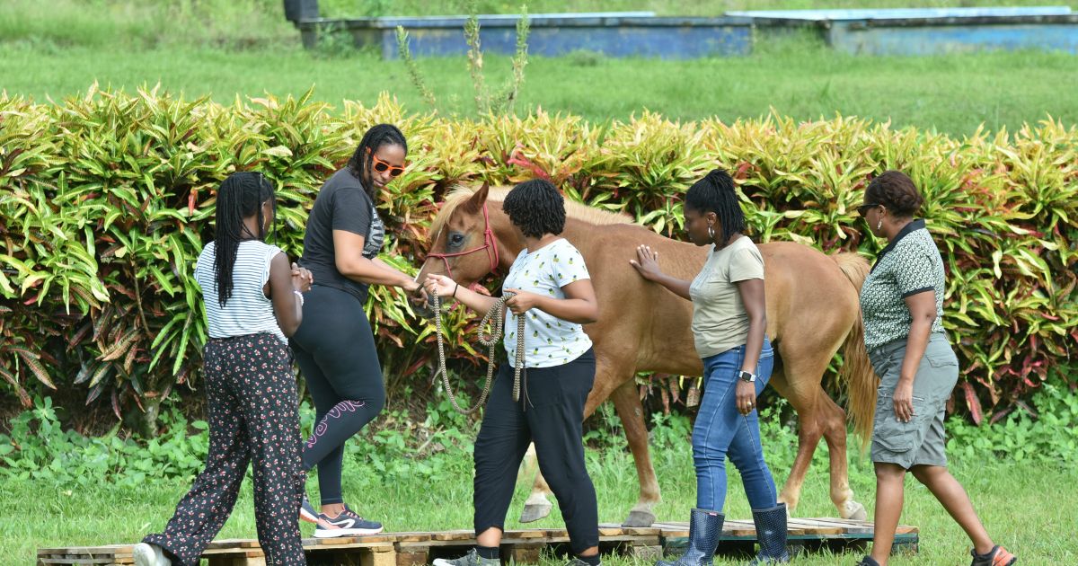 L’équicoaching et la gestion du stress : comment retrouver sérénité et confiance en soi grâce aux chevaux ?