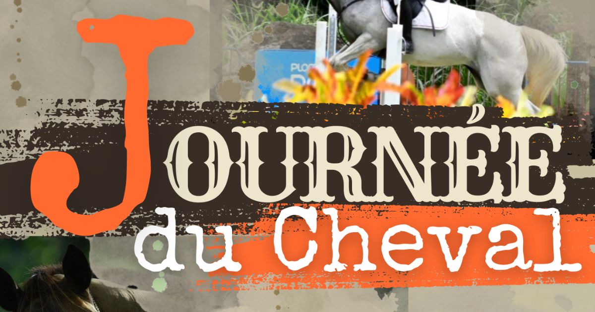 Journée du Cheval dimanche 10 septembre au Lorrain