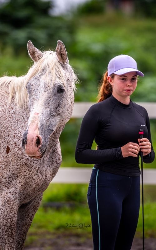 jeune fille a cote d'un cheval gris