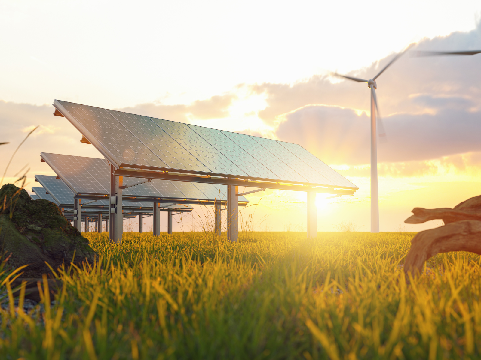 renewable energy image with solar and wind for RenewableUK case study