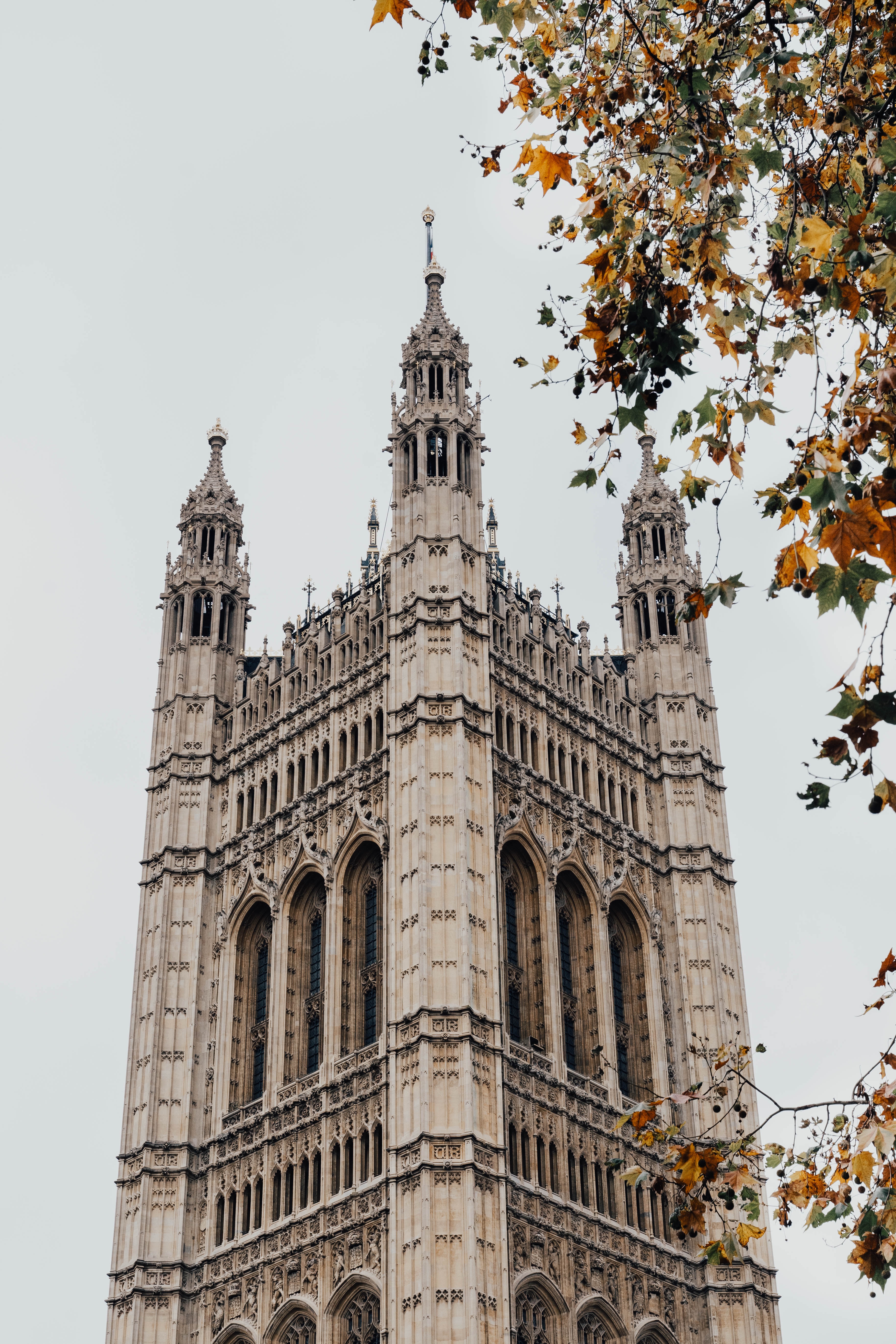 recruit policy staff - image of houses of parliament