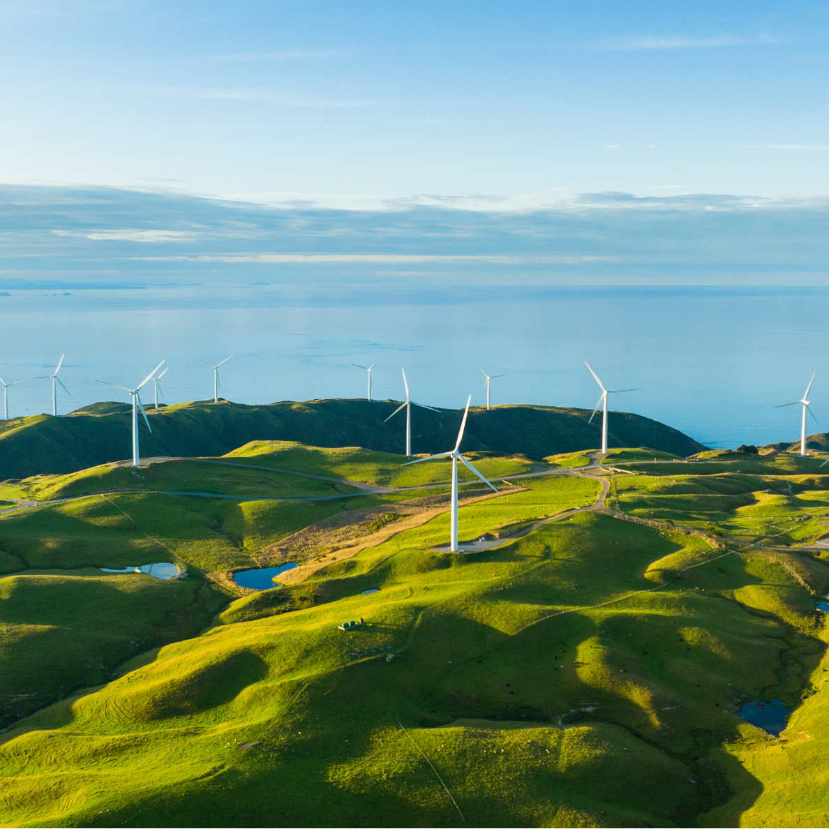 wind turbines on a hill overlooking the sea