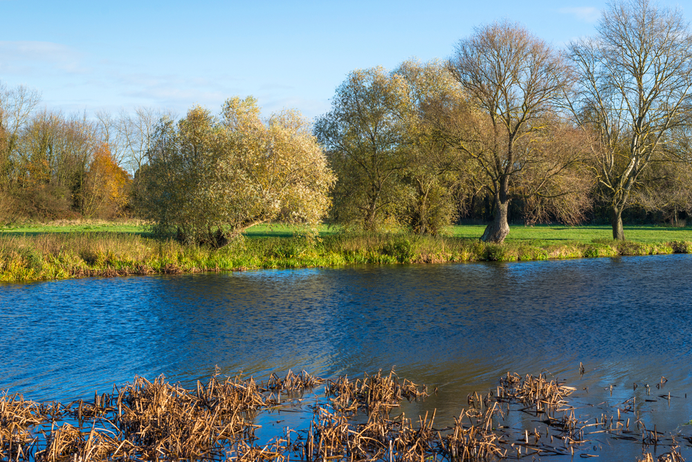 Hemingford Grey Meadow and the Great Ouse river, Cambridgeshire, England, UK.