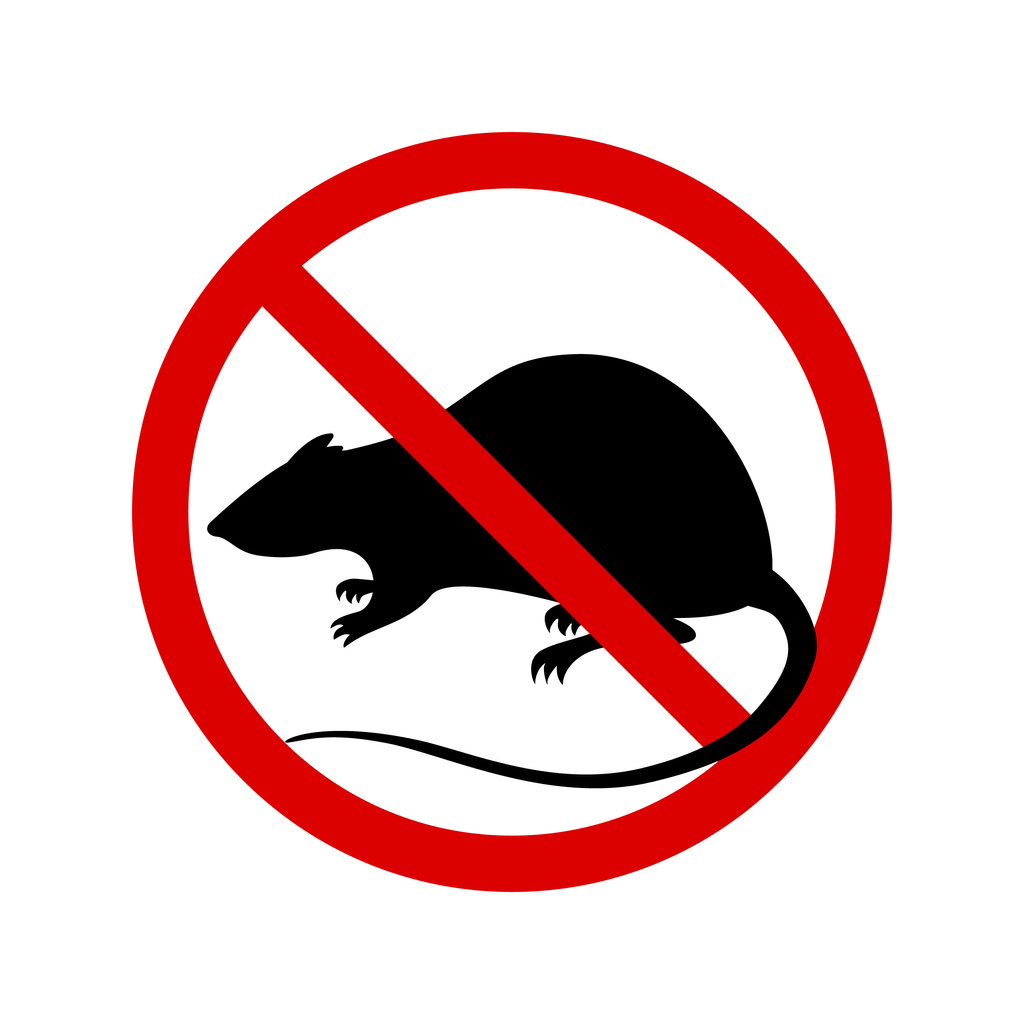 Sign rats prohibition isolated on white background