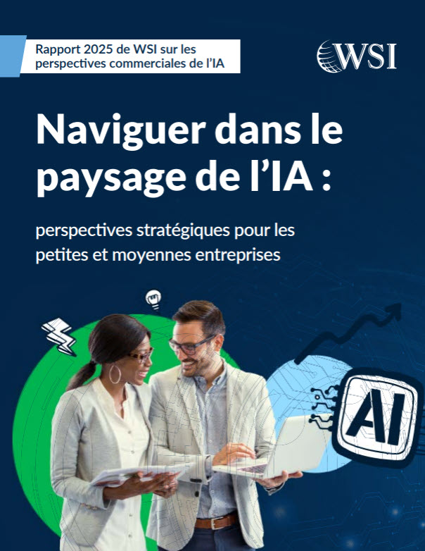 Ebook - Naviguer dans le paysage de l'IA