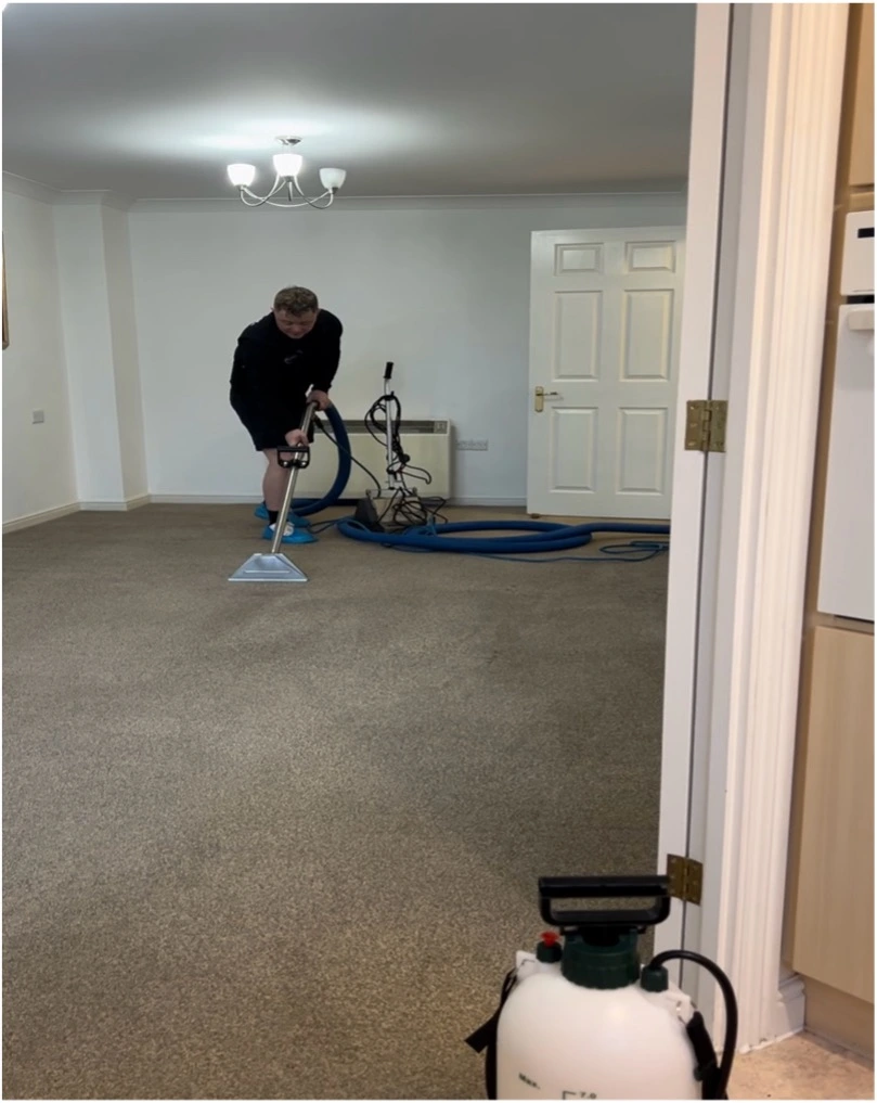 carpet cleaners in Chichester 