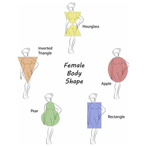 Body Shapes