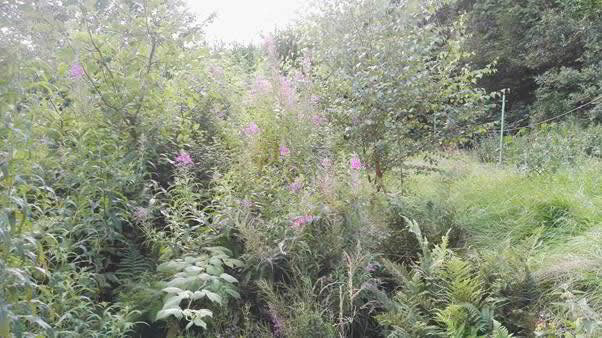 blog image