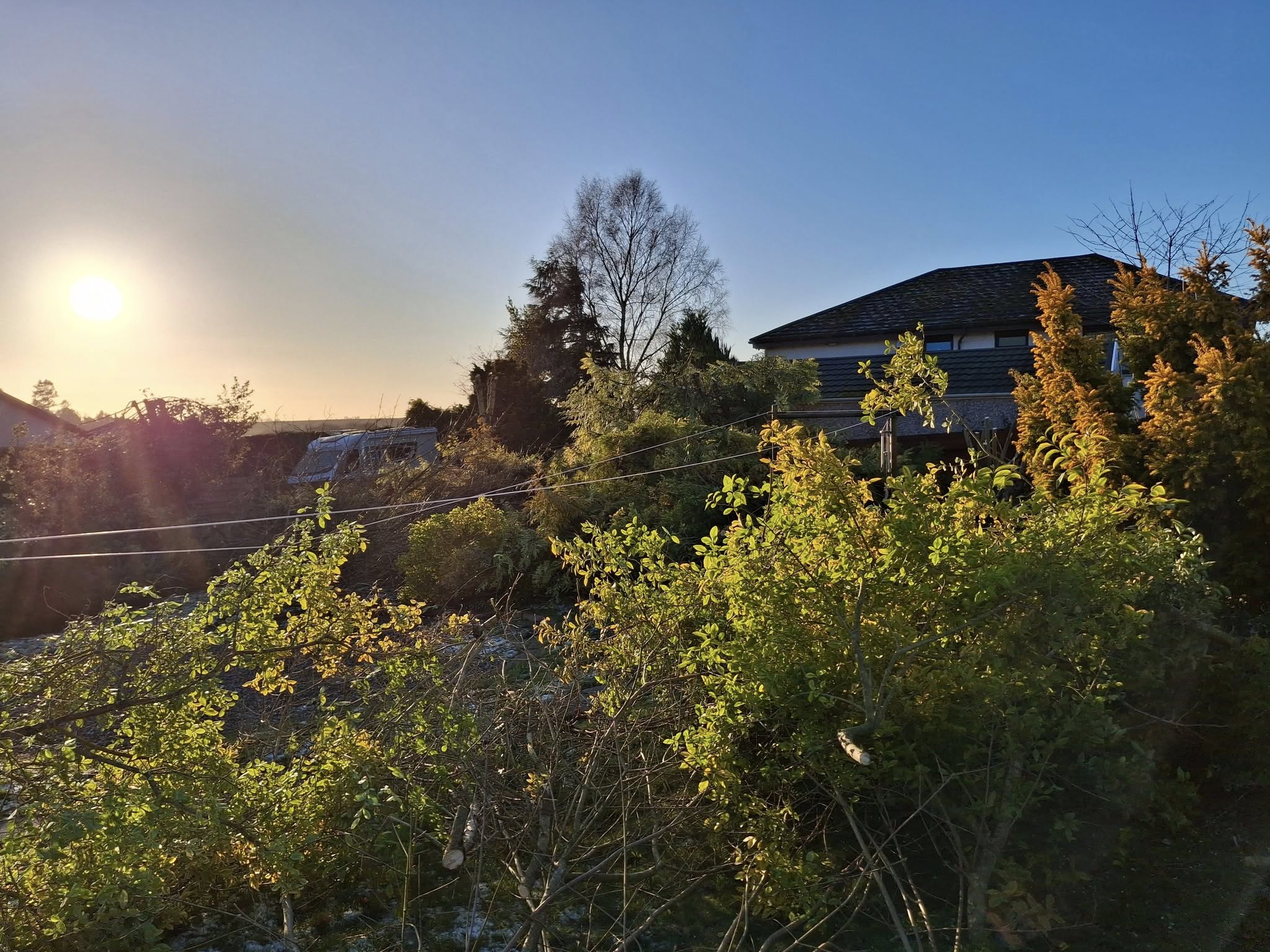 blog-img