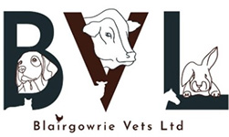 Blairgowrie Vets Ltd